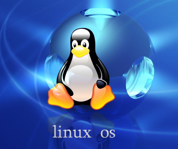 linux系統(tǒng)一般用來(lái)干嘛？.png